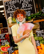 COLOUR HARMONY handgefertigter Fächer