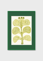 Poster Earthly Delights 30x40 cm