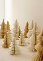 Wabenbaum H20 Schale