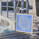 Poster SEA LAVENDER 50x50 cm