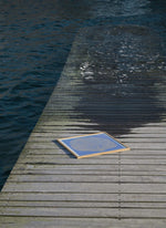 Poster SEA LAVENDER 50x50 cm