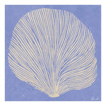 Poster SEA LAVENDER 50x50 cm