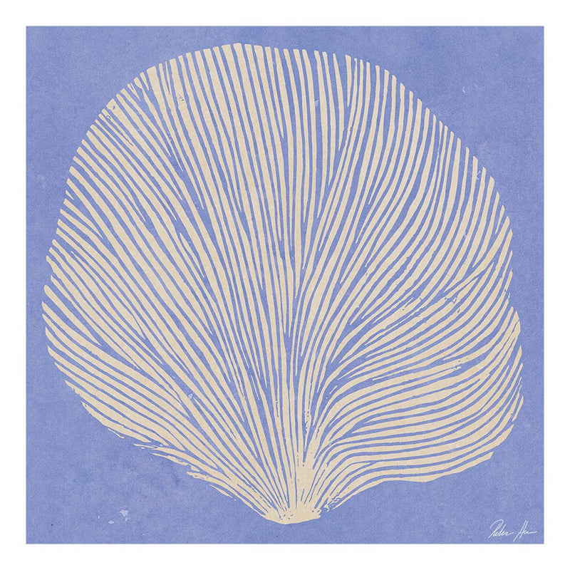 Poster SEA LAVENDER 50x50 cm