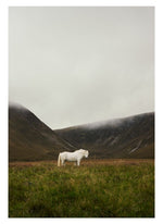 Poster SOLITUDE 30x40 cm