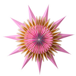 Paper Star Equinox Fuchsia 70cm