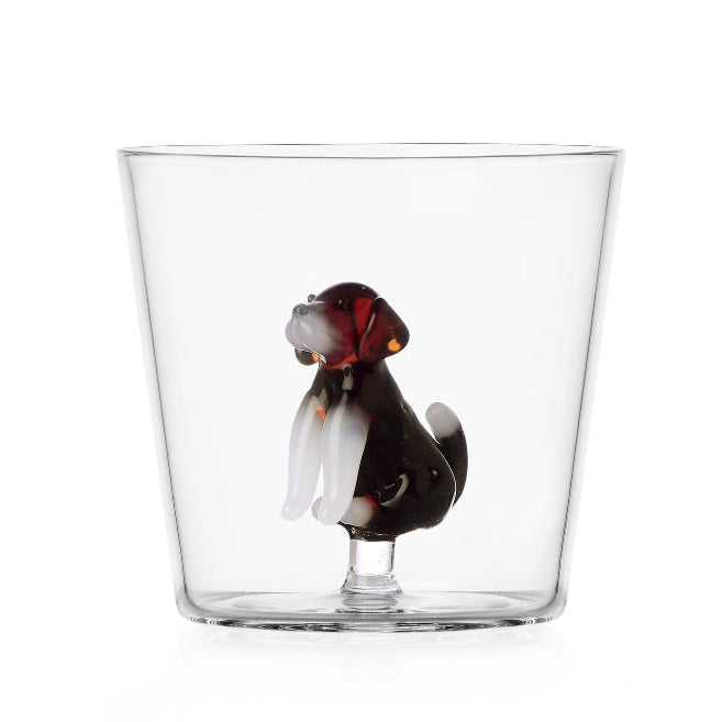 Glas mit English Foxhound