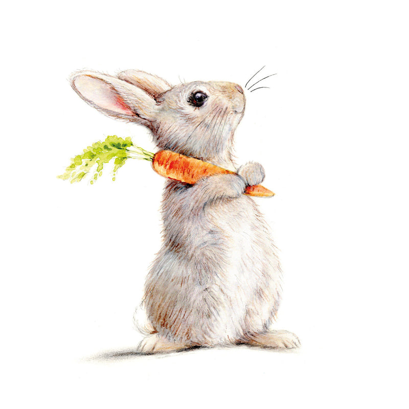 Servietten "Rabbit & Carrot" 33x33 cm