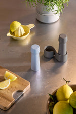 Mini Grinder AMSTERDAM versch. Farben