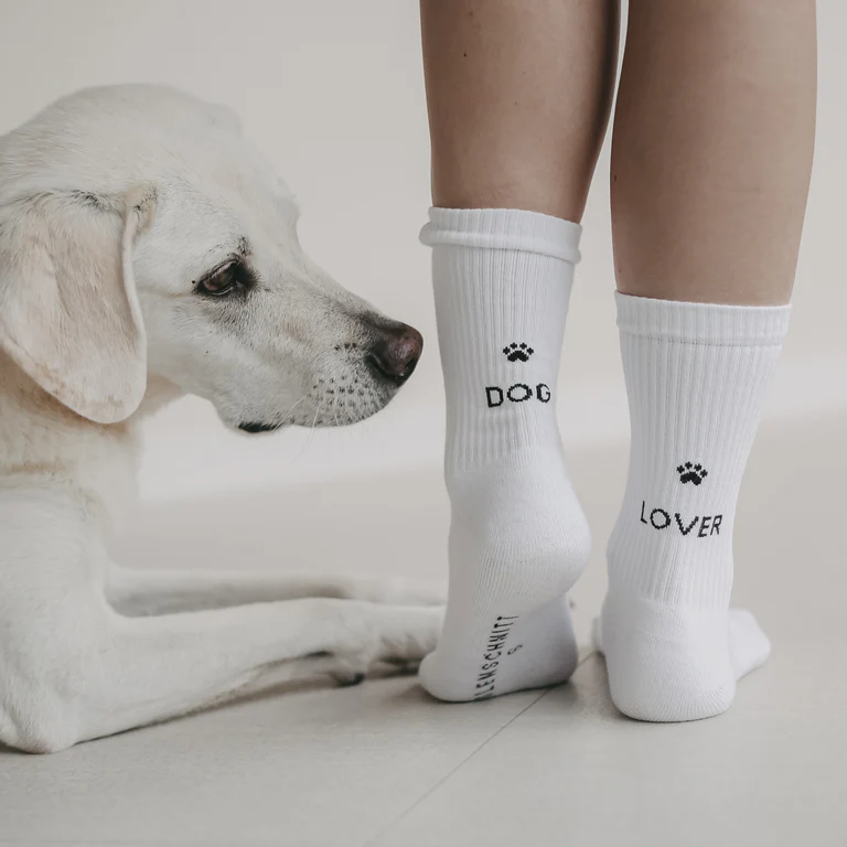 socks "Dog Lover"