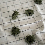 Girlande - Schneeflocken grün