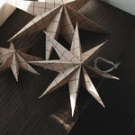 Papier Winterstern - Sand