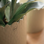 Blumentopf FLOWERY creme small