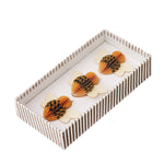 Paper Bees Honey S/3pcs